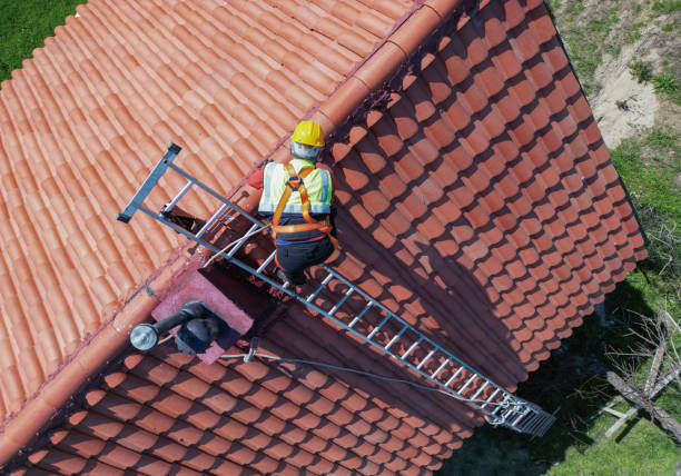 Best Asphalt Shingle Roofing  in Morrisville, NY